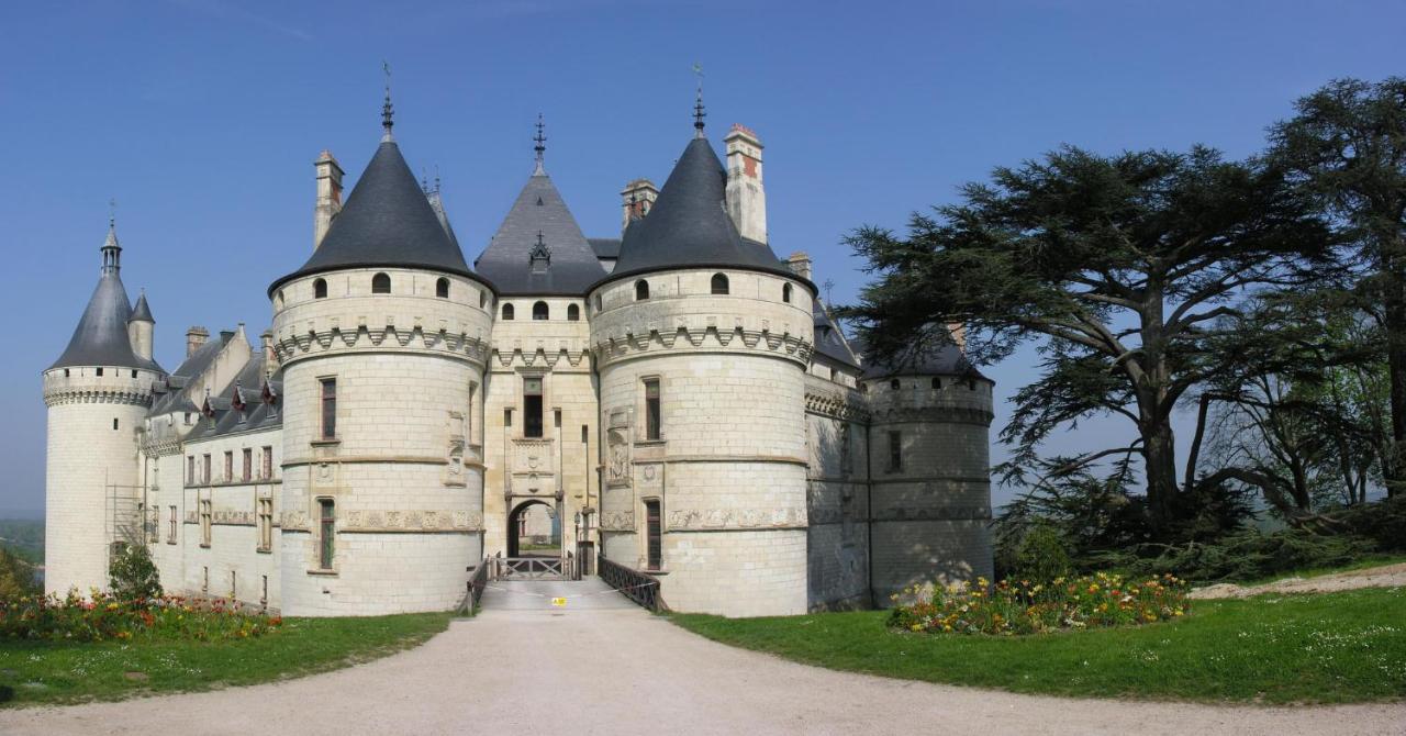 Les Gites De L'Argenterie A 15Km Du Zoo De Beauval Classes 4 Etoiles Fontguenand 外观 照片